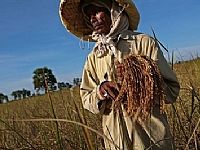 Liên hợp quốc sẽ cung cấp thêm 1,2 tỉ USD viện trợ lương thực